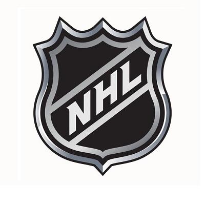 NHL Stats API logo