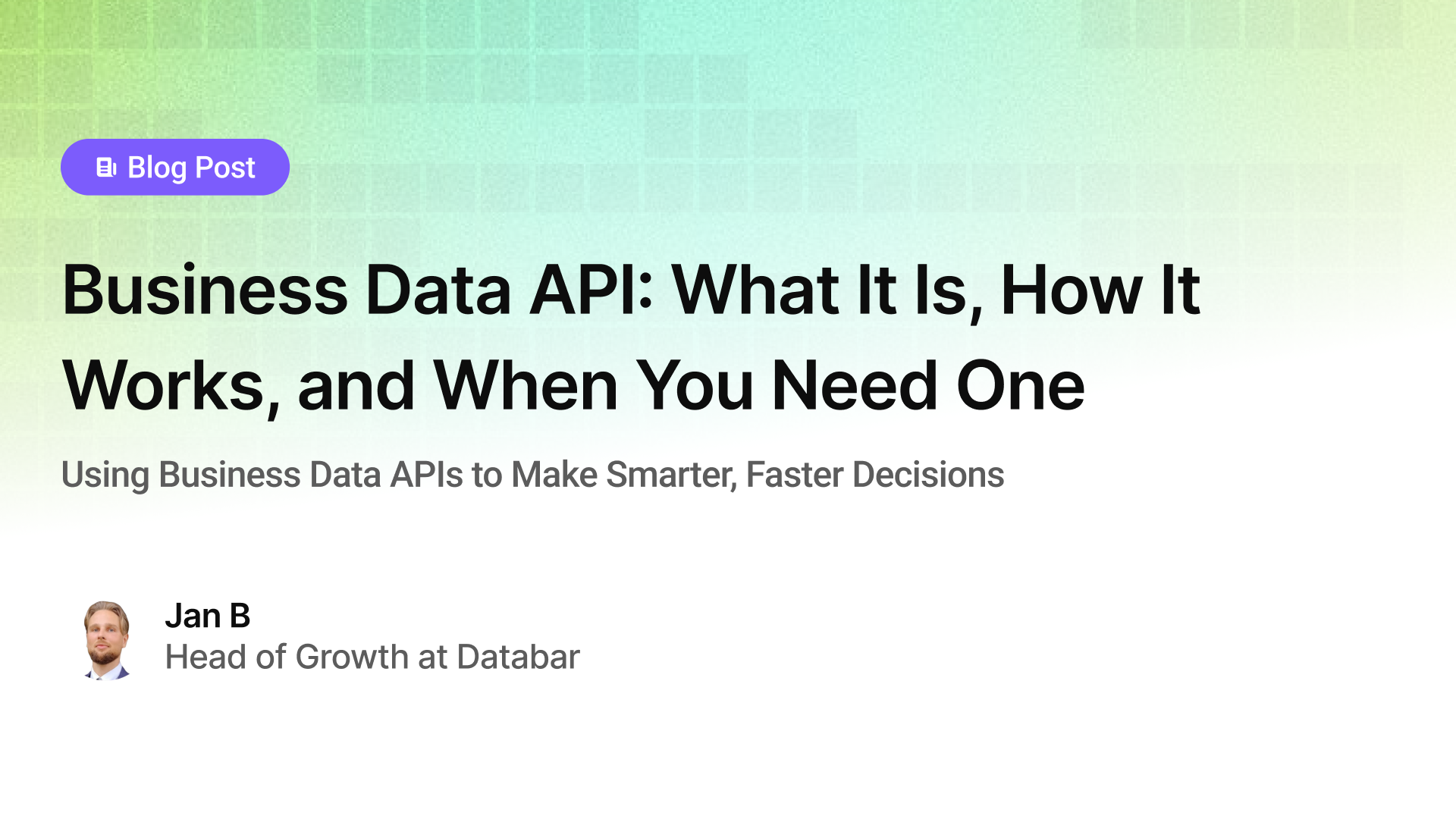 Business Data API: What It Is, How It Works, and When You Need One