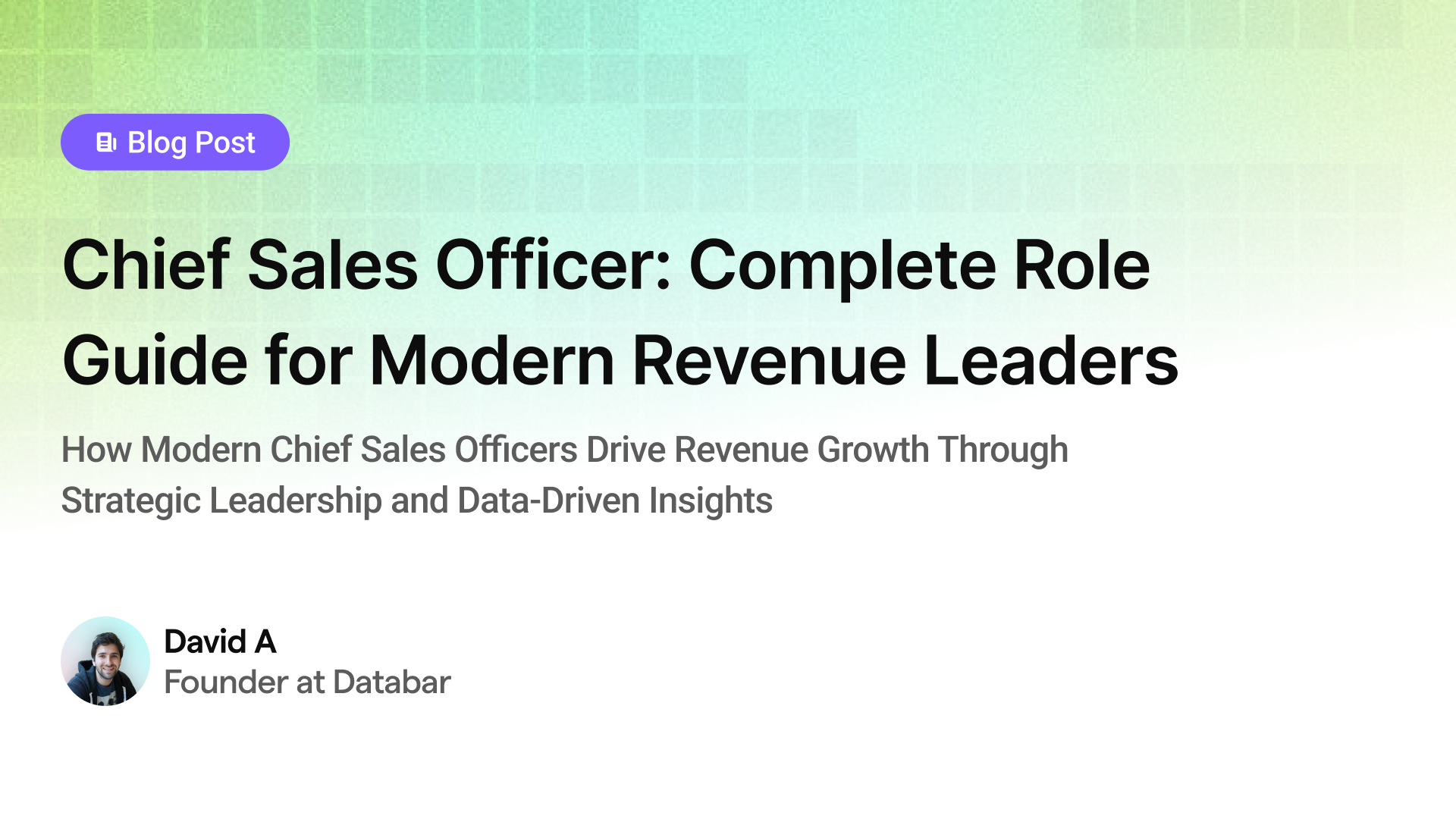 Chief Sales Officer: Complete Role Guide for Modern Revenue Leaders