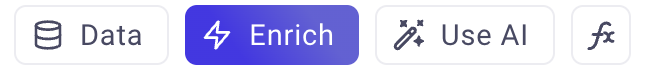 Enrich Button