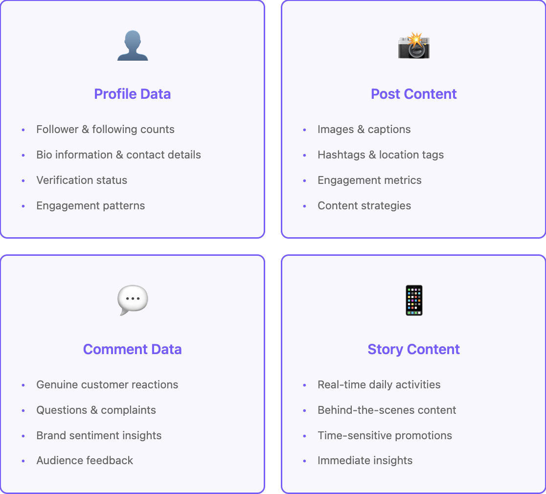 Instagram Data Fortress