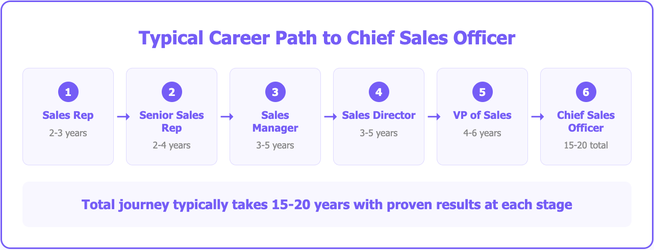 CSO career path